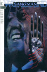 Sandman Vol 2 54